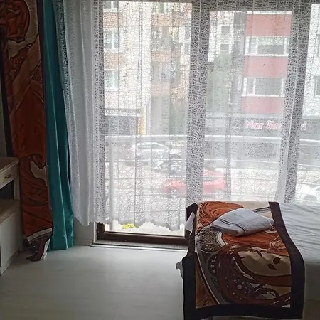 فندق Ayisik حميدية